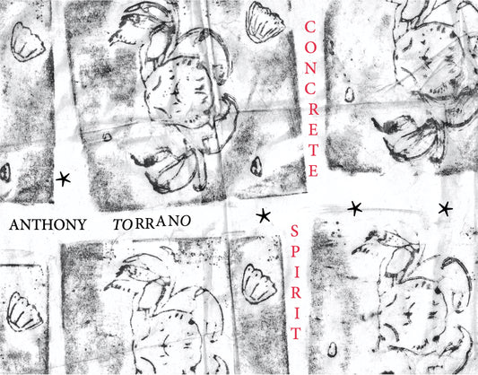 "Concrete Spirit" Anthony Torrano Zine